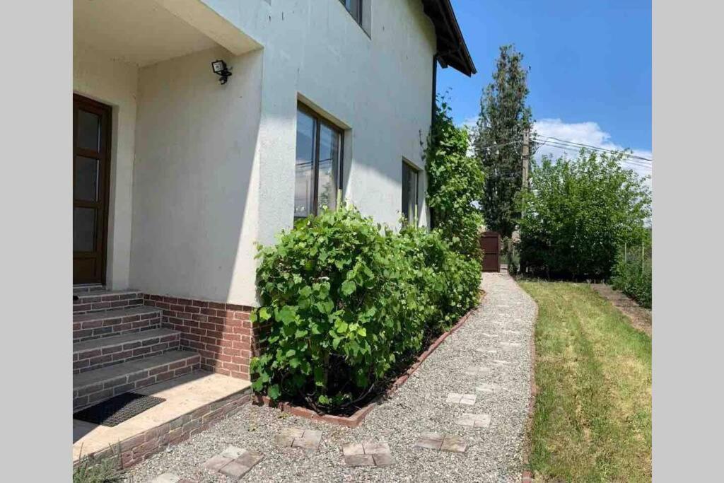 Casa Andreea. Cheerful 4-Bedroom Villa Bod Luaran gambar