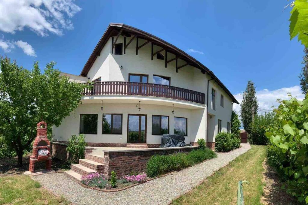 Casa Andreea. Cheerful 4-Bedroom Villa Bod Luaran gambar